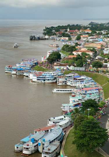 festival em Parintins de Boi-Bumb� com Garantido, Caprichoso