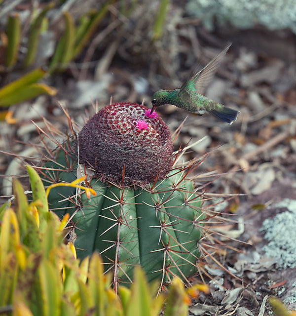 20110819_191904_13D3_01