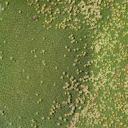 20100102_125932_135A_01