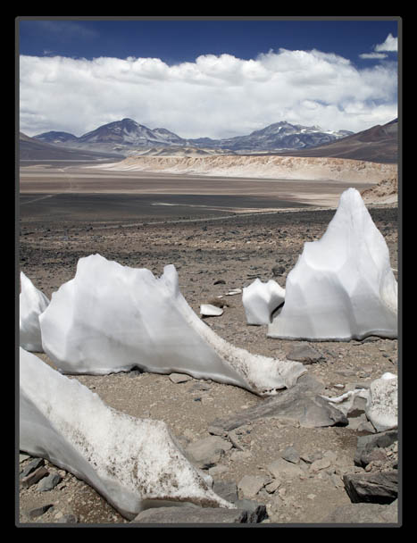 images, prints and e-cards